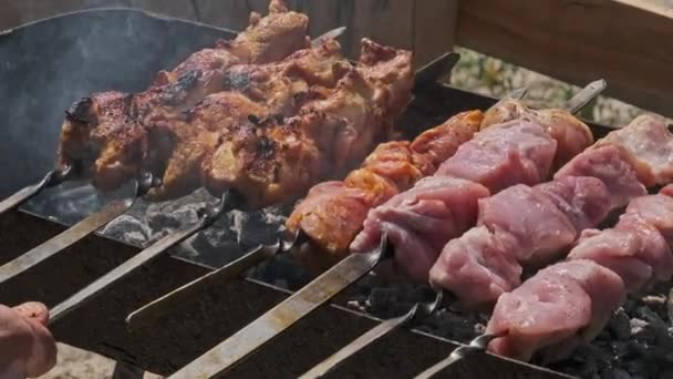 Grilling Shashlik Barbecue Grill Outdoors Process Cooking Delicious Shish Kebab — Stok video