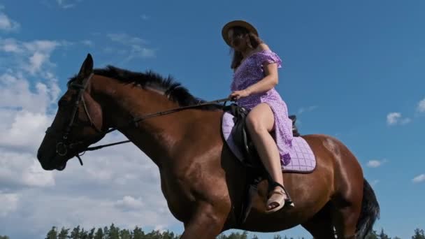 Giovane Donna Abito Estivo Cappello Paglia Cavallo Campo Rurale Campagna — Video Stock