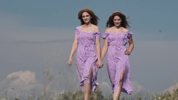 穿着夏装 头戴草帽的年轻漂亮的孪生姐妹手牵手走过绿地 生活方式 两个穿着相同紫色衣服的女人在草地上慢吞吞地走着 这很吸引人 — 图库视频影像