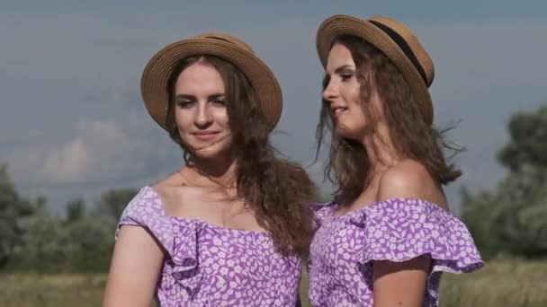 同じ夏の服を着た2人の若い双子の女の子と 自然の中でカメラを見ているわらの帽子 田舎の笑顔の双子の姉妹の肖像画は 空に対してフィールドに立っている スローモーション — ストック動画