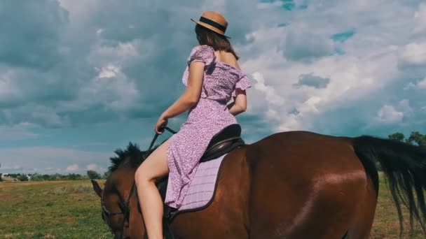 Bella Ragazza Abito Viola Cappello Paglia Cavalca Cavallo Attraverso Campo — Video Stock