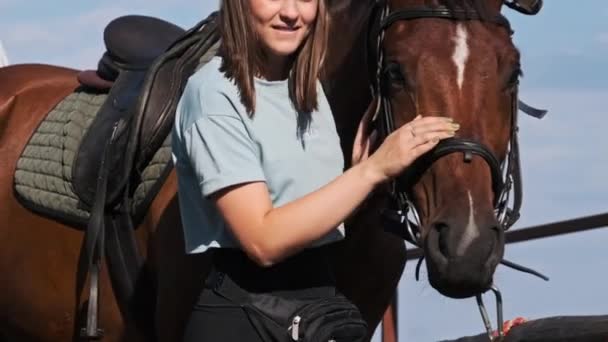 Beautiful Woman Pets Brown Horse Stable Summer Day Slow Motion — Video