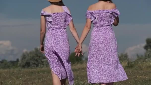 Back View Young Twins Sisters Summer Dresses Straw Hats Holding — 图库视频影像