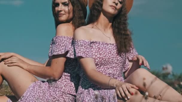 Piękne Młode Bliźniaczki Siedzą Razem Identycznych Sukienkach Słomkowych Kapeluszach Trawie — Wideo stockowe