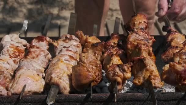 Grilling Shashlik Barbecue Grill Outdoors Process Cooking Delicious Shish Kebab — Videoclip de stoc