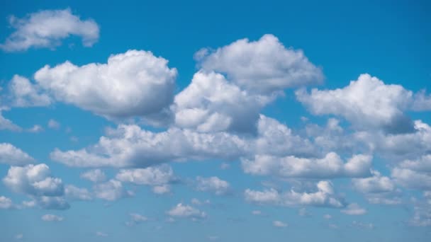 積雲の時間経過は 青空に移動します 光の雲は雲の空間で形を変える 素晴らしい空だ 雲の背景 時間の経過 コピースペース 天候の変化 — ストック動画