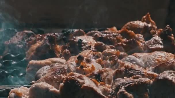 Process Cooking Delicious Shish Kebab Metal Skewer Summer Outdoors Grilling — 图库视频影像