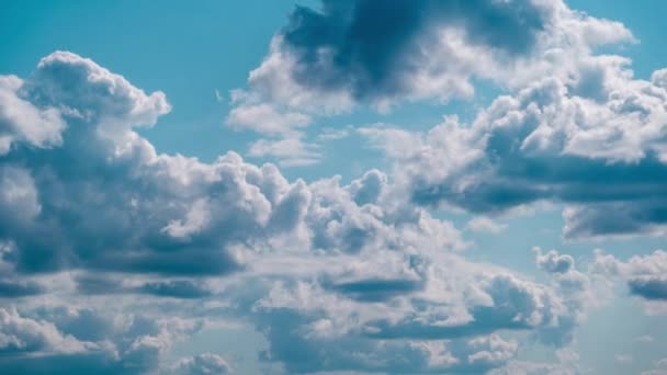 Felhők Mozognak Kék Égen Időhasadék Puffadt Fehér Felhők Időeltolódás Kumulus — Stock videók