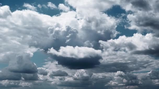 Timelapse Cumulus Clouds Moving Blue Sky Fluffy Clouds Change Shape — Stock Video