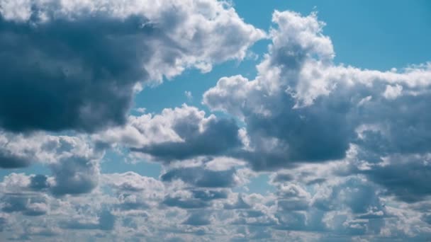 Nuages Déplaçant Dans Ciel Bleu Timelapse Nuages Blancs Gonflés Pelucheux — Video