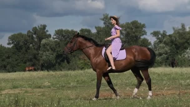 Jonge Vrouw Een Zomerjurk Strohoed Paardrijden Een Landelijk Veld Het — Stockvideo