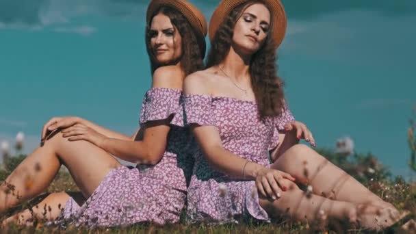 Two Twin Girls Sit Together Field Identical Dresses Straw Hats — Stockvideo