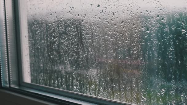 窓の外で雨 窓の上に雨が降った 秋のブルース 雨の天気曇りの日 雨が窓ガラスに降り クローズアップ 雨の滴がガラスの下を走る 秋の抽象的背景 — ストック動画