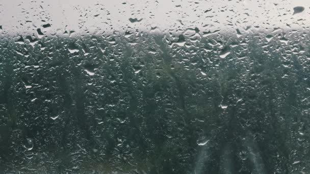 窓の外で雨 窓の上に雨が降った 秋のブルース 雨の天気曇りの日 雨が窓ガラスに降り クローズアップ 雨の滴がガラスの下を走る 秋の抽象的背景 — ストック動画