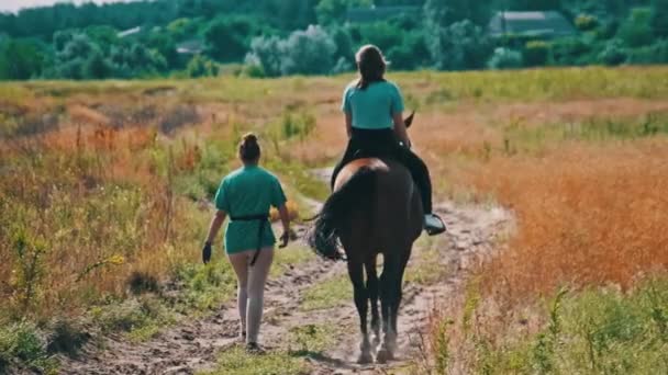 Visão Traseira Uma Jovem Montando Cavalo Caminho Campo Cavalgando Câmera — Vídeo de Stock