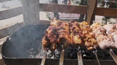 Doğadaki ızgarada şiş ızgarada barbekü yapmak. Terbiye edilmiş kebap mangal kömüründe kızartılır. Güneşli bir günde sahilde barbekü pişirme işlemi. BBC 'deki metal şişte lezzetli yemekler. Şişler açık
