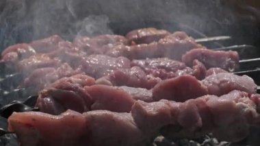 Grilling shashlik on barbecue grill outdoors. Process of cooking delicious shish kebab on a metal skewer in summer. Roast beef on BBQ. Marinated kebab grilled on charcoal. Weekend picnic. Street food