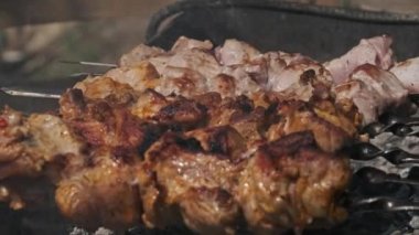 Doğadaki ızgarada şiş ızgarada barbekü yapmak. Terbiye edilmiş kebap mangal kömüründe kızartılır. Güneşli bir günde sahilde barbekü pişirme işlemi. BBC 'deki metal şişte lezzetli yemekler. Şişler açık