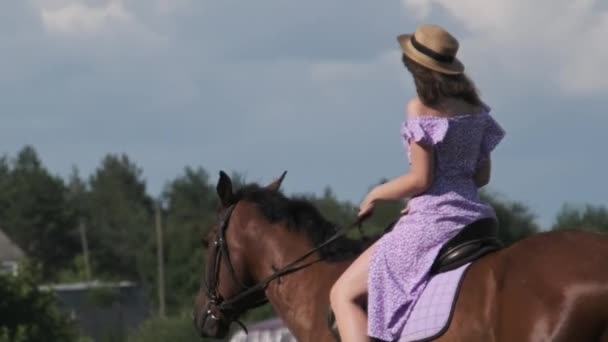 身穿紫色衣服头戴草帽的美女骑着马慢吞吞地穿过绿地 生活方式 骑在马鞍上的年轻貌美的女人正骑着马在乡间的草地上散步 — 图库视频影像