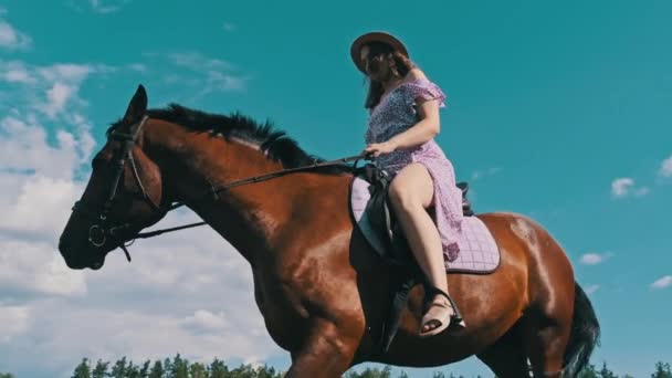 紫色のドレスとわらの帽子の美しい女の子は スローモーションで緑のフィールドを横切って馬に乗っています ライフスタイル 鞍の若い魅力的な女性は田舎の田舎の牧草地で馬に乗って歩いています — ストック動画