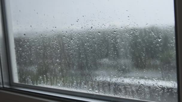 窓の外で雨 窓の上に雨が降った 秋のブルース 雨の天気曇りの日 雨が窓ガラスに降り クローズアップ 雨の滴がガラスの下を走る 秋の抽象的背景 — ストック動画