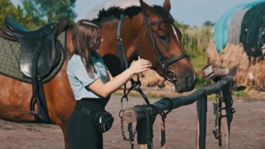 Happy woman stroking a horse on a farm in nature at summer day. Slow Motion. Beautiful girl pets brown horse near the stable. Friendship between human and animal. Mutual understanding, love for horses