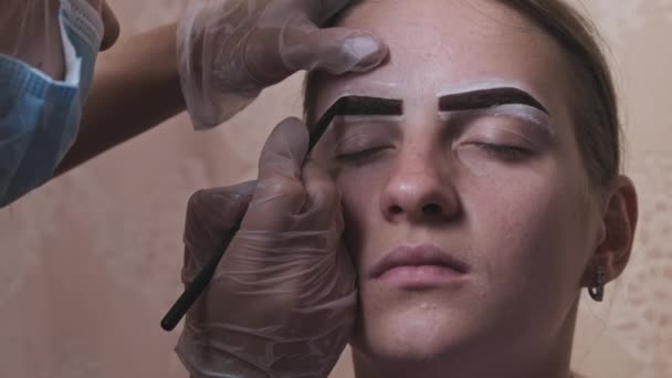 Building Shape Eyebrows Beauty Salon Eyebrow Master Dyes Them Young — Stockvideo