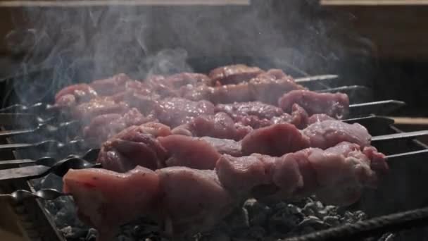 Процесс Приготовления Вкусного Шашлыка Металлическом Шампуре Летом Открытом Воздухе Гриль — стоковое видео