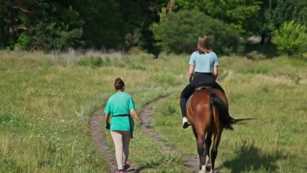 Vue Arrière Une Jeune Femme Chevauchant Cheval Sur Sentier Campagne — Video