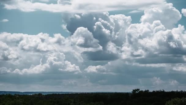 Timelapse Nuvole Cumulus Che Muovono Nel Cielo Blu Sopra Orizzonte — Video Stock