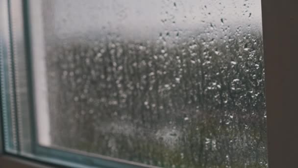 雨下在窗外 窗户上的雨滴流下来了 秋天的蓝调 多云的雨天 雨滴落在窗玻璃上 雨滴从玻璃杯里流下来 秋天的背景摘要 — 图库视频影像