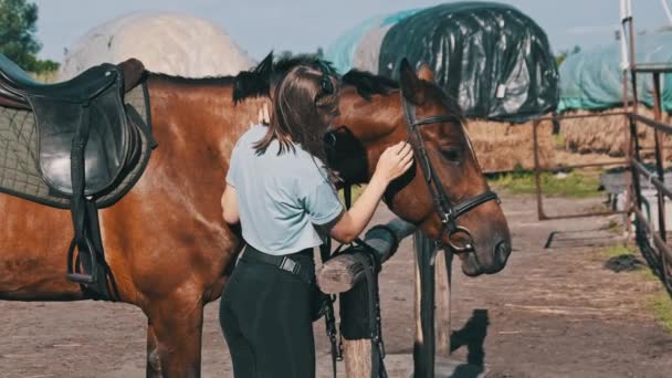 Ευτυχισμένη Γυναίκα Χαϊδεύει Άλογο Στο Ράντσο Στη Φύση Αργή Κίνηση — Αρχείο Βίντεο