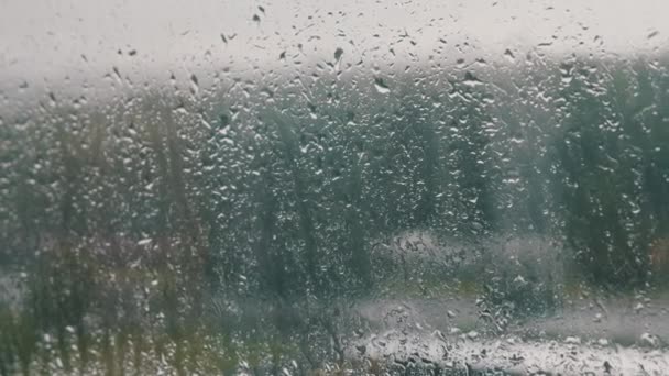 Regendruppels Het Raam Stromen Naar Beneden Regen Buiten Het Raam — Stockvideo