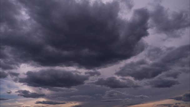 Timelapse Από Πυκνά Σύννεφα Που Κινούνται Στον Γαλάζιο Ουρανό Καλοκαίρι — Αρχείο Βίντεο