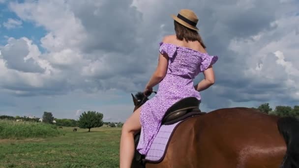 Giovane Donna Abito Estivo Cappello Paglia Cavallo Campo Rurale Campagna — Video Stock