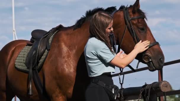 Beautiful Woman Pets Brown Horse Stable Summer Day Slow Motion — Vídeo de Stock