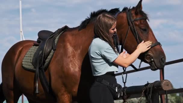 Young Woman Petting Horse Farm Nature Pretty Girl Stroking Brown — Vídeo de stock