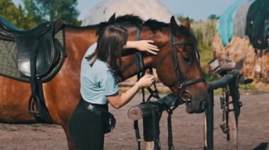 Happy woman stroking a horse on a farm in nature at summer day. Slow Motion. Beautiful girl pets brown horse near the stable. Friendship between human and animal. Mutual understanding, love for horses