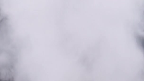 黑色背景上的白烟蒸汽云升了起来 飘飘欲仙蒸气的爆炸蒸汽 透明的烟云 抽象的雾 蒸汽质感 真正的大气效应 — 图库视频影像