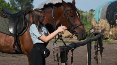 Young woman is petting a horse on a farm in nature. Pretty girl stroking a brown horse near the stable on a summer day. Friendship between human and animal. Mutual understanding, love for horses.