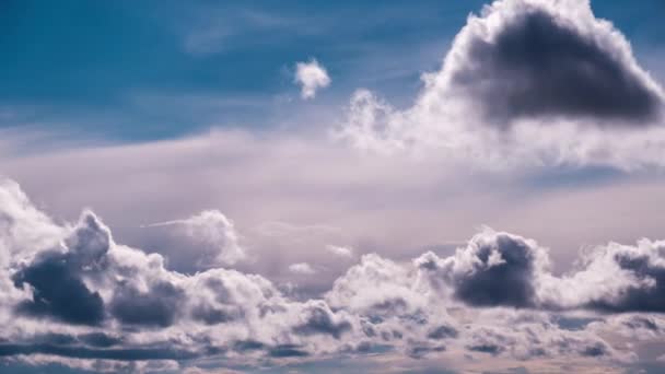 Timelapse Chmur Cumulus Poruszających Się Niebieskim Niebie Natura Niebo Chmury — Wideo stockowe