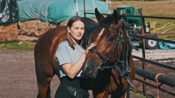 快乐的女人在牧场上抚摸着马 动作缓慢 美丽的女人在马厩附近养着一匹棕色的马 人与动物之间的友谊 相互理解 — 图库视频影像