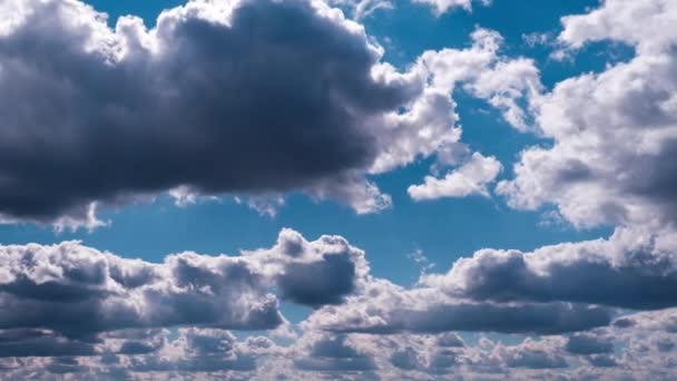 Timelapse Nuvens Cumulus Movendo Céu Azul Espaço Nublado Verão Com — Vídeo de Stock