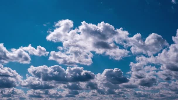 Timelapse Nuvens Cumulus Movendo Céu Azul Espaço Nublado Verão Com — Vídeo de Stock