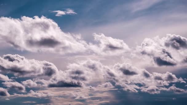 Timelapse Chmur Cumulus Poruszających Się Niebieskim Niebie Natura Niebo Chmury — Wideo stockowe