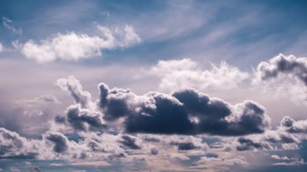 Timelaps Van Cumulus Wolken Bewegen Blauwe Lucht Natuur Wolken Kopieer — Stockvideo
