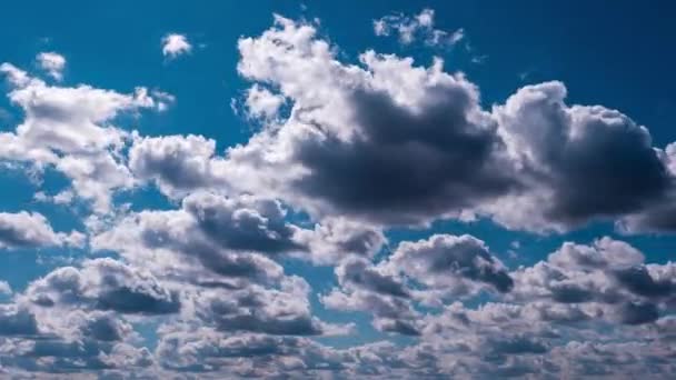 Timelapse Nuvens Cumulus Movendo Céu Azul Espaço Nublado Verão Com — Vídeo de Stock