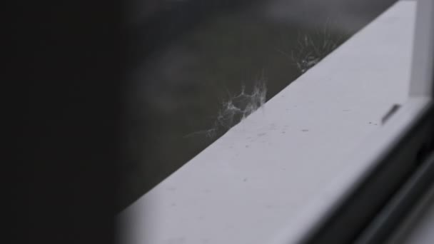 Krople Deszczu Uderzyły Parapet Deszczowy Dzień Zwolnione Tempo Parapet Podczas — Wideo stockowe