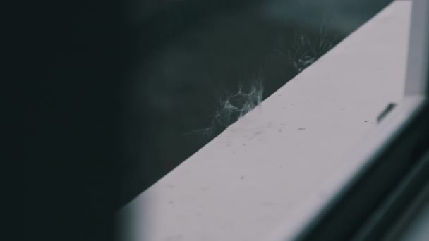 Падіння Дощу Билися Проти Віконних Виступів Повільному Русі Дощі Впали — стокове відео