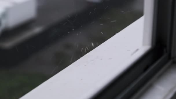 Regndroppar Träffar Fönsterbrädan Regnig Dag Slow Motion Windowsill Storm Nära — Stockvideo